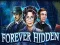 Gêm Forever Hidden ar-lein