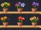 Gêm Good Flower Master ar-lein