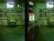 Gêm Robot Bar Spot the differences ar-lein
