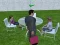 Gêm Millionaire Simulator 2024 ar-lein