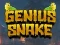 Gêm Genius Snake ar-lein