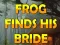 Gêm Frog Finds His Bride ar-lein