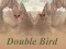 Gêm Double Bird ar-lein