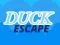 Gêm Duck Escape ar-lein