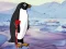 Gêm Heal the Wounded Penguin ar-lein
