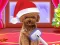 Gêm Christmas ASMR Makerover Salon ar-lein