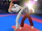 Gêm Karate Fighter ar-lein