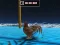 Gêm Animal Impossible Track Rush ar-lein