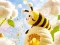 Gêm Find The Differences: Little Bee's Adventure ar-lein