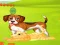 Gêm Bunny Key Quest ar-lein