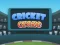 Gêm Cricket Craze ar-lein