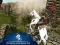 Gêm Ertugrul Gazi Horse Sim ar-lein