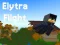 Gêm Elytra Flight ar-lein
