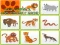 Gêm Wild Animals Kids Memory game ar-lein