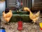 Gêm Poultry Farm Easter Escape ar-lein