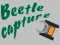 Gêm Beetle Capture ar-lein