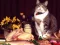 Gêm Funny Cats Puzzle ar-lein