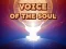 Gêm Voice Of The Soul ar-lein