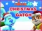 Gêm Nick Jr. Christmas Catch ar-lein