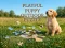 Gêm Playful Puppy Outdoor Puzzle ar-lein