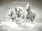 Gêm Horses Puzzle ar-lein