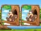 Gêm Jungle 5 Diffs ar-lein