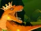 Gêm The Dino King ar-lein