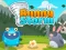 Gêm Bunny Storm ar-lein