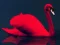Gêm Love Birds Puzzle ar-lein