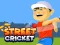 Gêm Street Cricket ar-lein