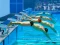 Gêm Swimming Pool Race ar-lein