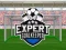 Gêm Expert Goalkeeper ar-lein
