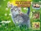 Gêm Kittens Jigsaw ar-lein