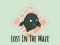 Gêm Lost In The Maze ar-lein