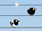 Gêm Gone with the Birds ar-lein