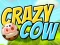 Gêm Crazy Cow ar-lein