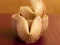 Gêm Fortune Cookies ar-lein