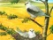 Gêm Birds Of Prey Puzzle ar-lein