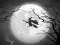Gêm The Night Of the Witches Jigsaw ar-lein