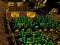 Gêm Pixel Farm ar-lein