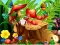 Gêm Hidden Objects Insects ar-lein