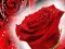 Gêm Red Roses ar-lein