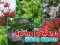 Gêm Spring Flowers: Hidden Objects ar-lein