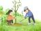 Gêm Arbor Day Puzzle ar-lein