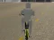 Gêm Bicycle Simulator ar-lein