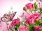 Gêm Butterflies Puzzle ar-lein
