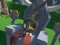 Gêm Lazy Orcs: Arena ar-lein