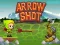 Gêm Arrow Shoot ar-lein