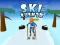 Gêm Ski Rush 3d ar-lein