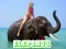 Gêm Elephants Puzzle ar-lein